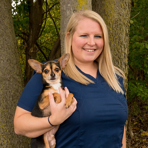 Ashley James Veterinary Assistant