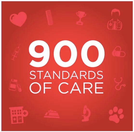 Standards of Care 1