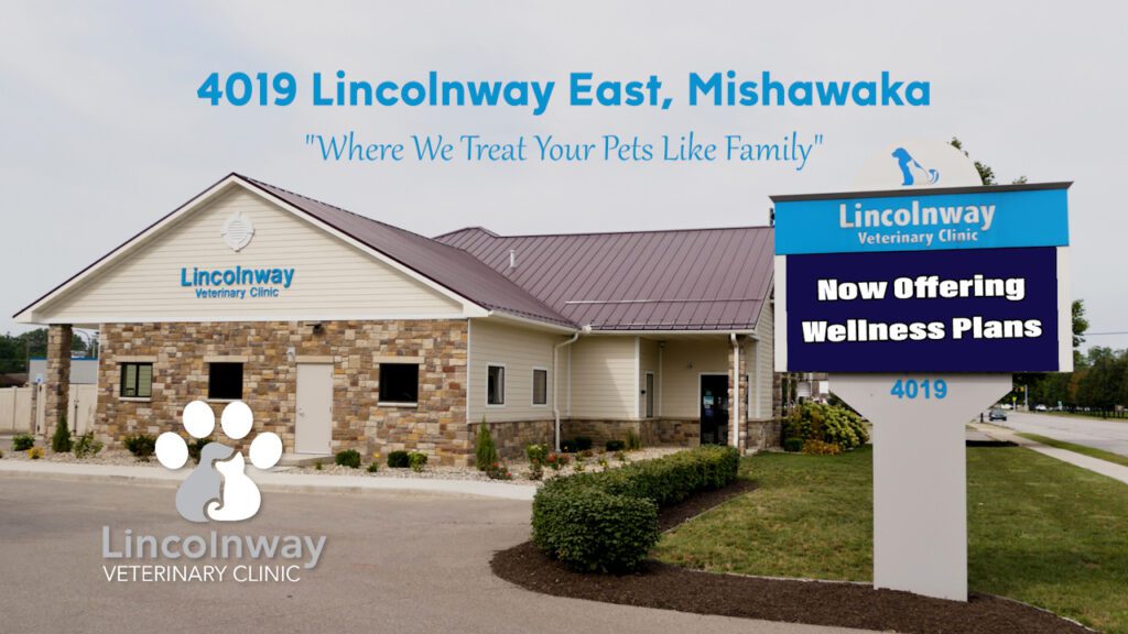 Lincolnway Veterinary Clinic Reviews