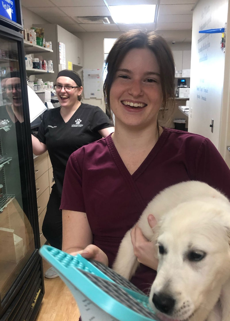 lincolnway veterinary clinic career benefits