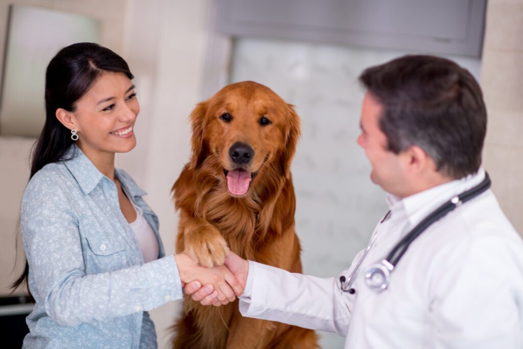 dog-at-vet-with-owner