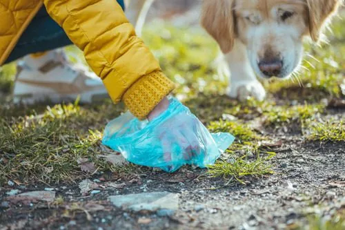 woman-cleaning-up-after-dog-in-the-park